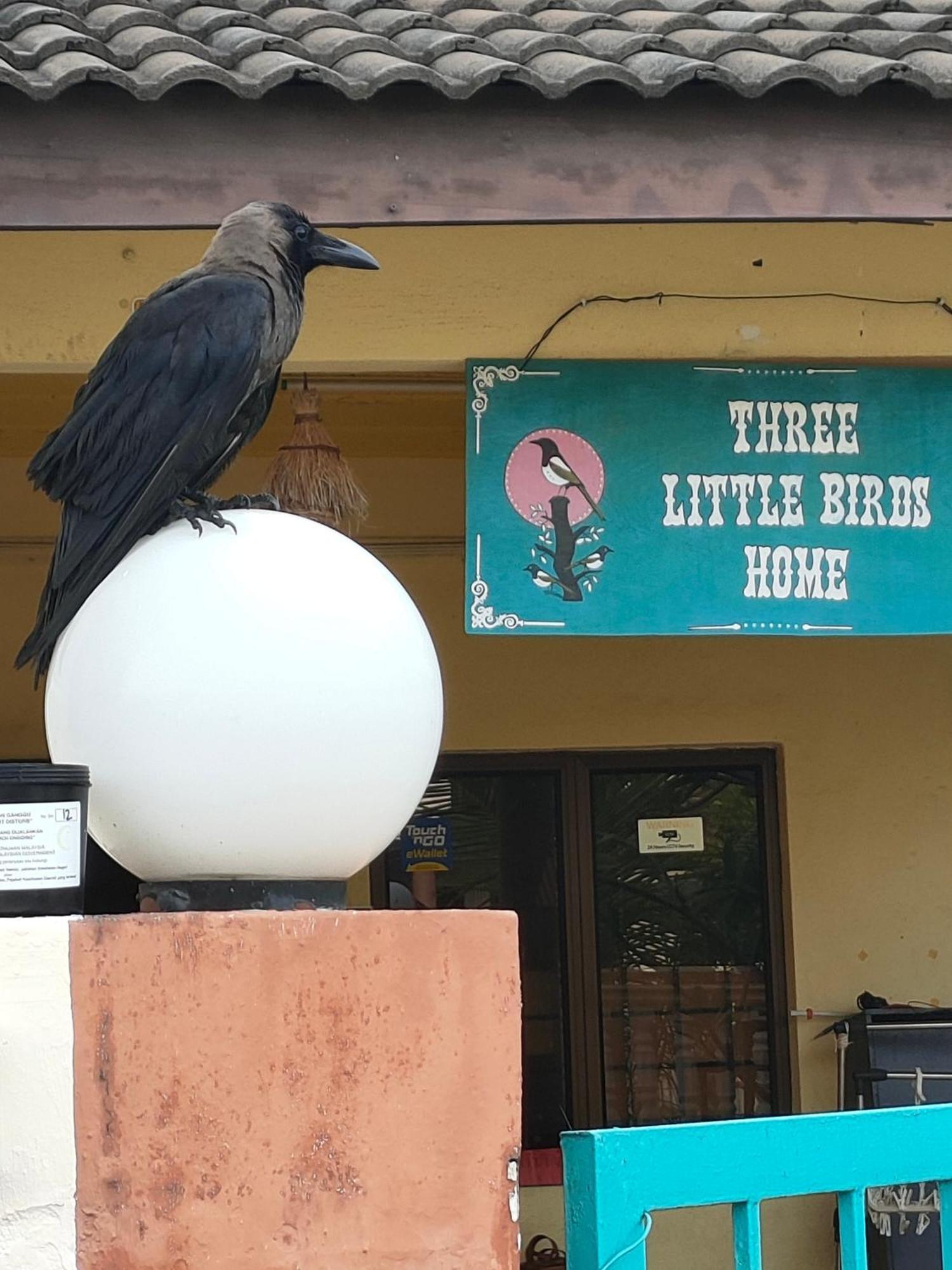 3 Little Birds Home, 100Meter To Jonkerwalk Malacca Exteriör bild